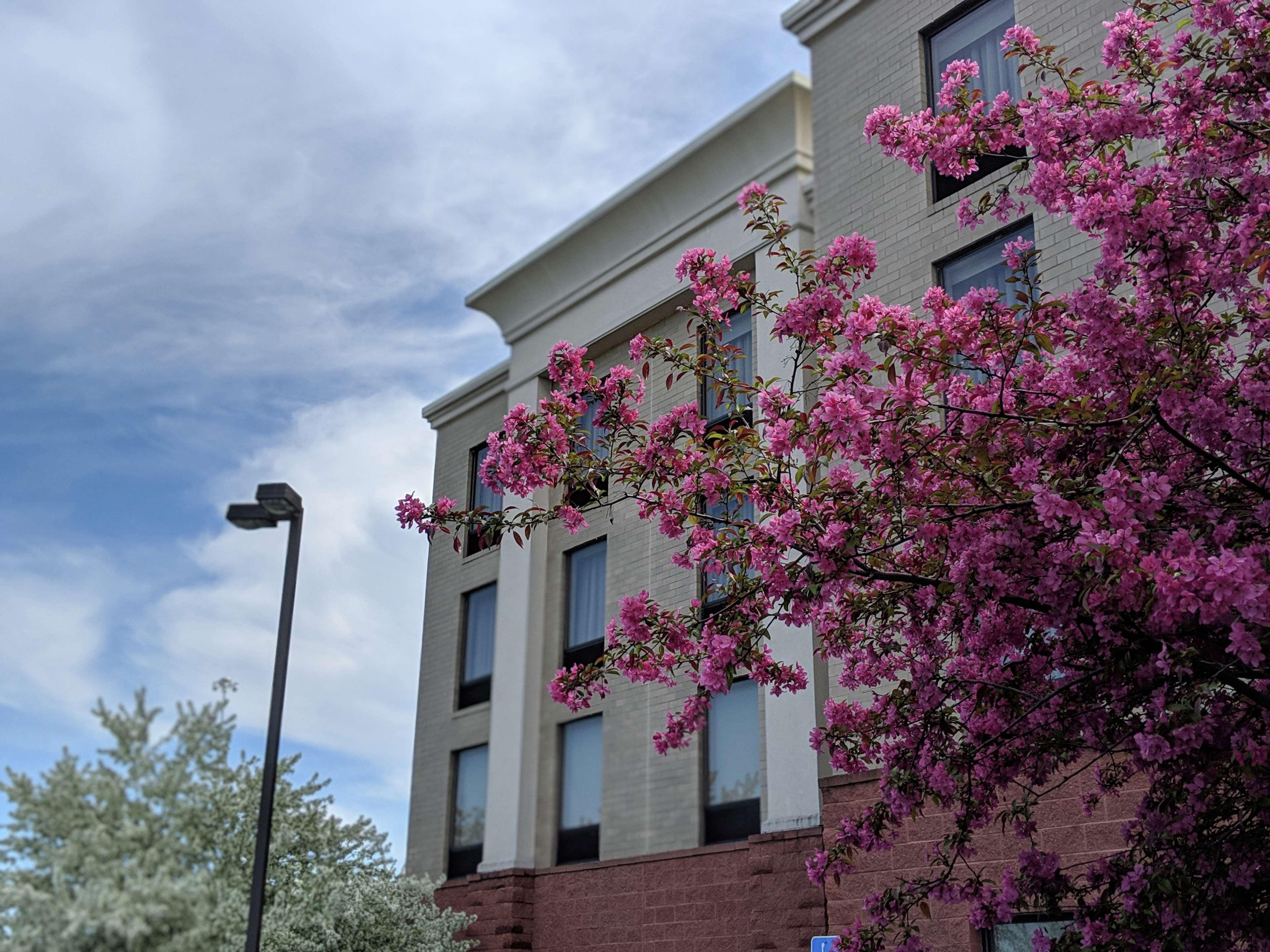 Hampton Inn & Suites Cincinnati-Union Centre West Chester Exterior foto